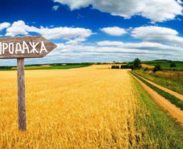 Украина, рынок земли, закон № 552-IX, продажа земли,