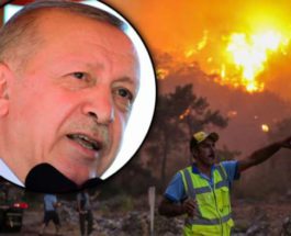 Эрдоган, Турция, пожары,