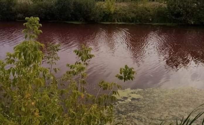 озеро, Терновка, красны цвет, Воронежская область,