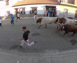 Испания, забег быков,