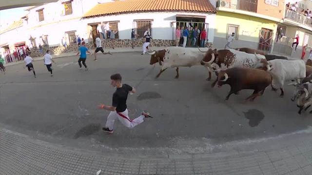 Испания, забег быков,