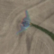 B-2 Spirit, Google maps,