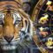 Китайский гороскоп, 2022, год тигра,
