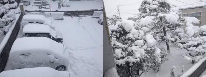 Япония, снег,