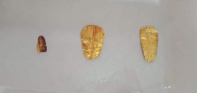 египетские мумии, золотые языки,