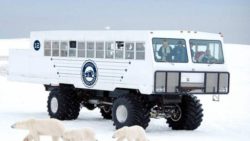 Первый электромобиль Tundra Buggy здесь и готов справиться с вашим худшим снежным днем