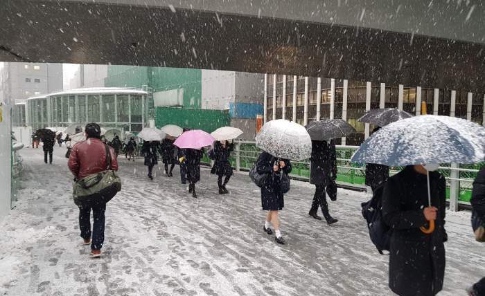 Токио, снег,